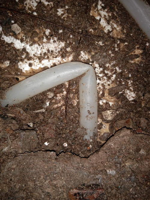 西乡堵点精准查找